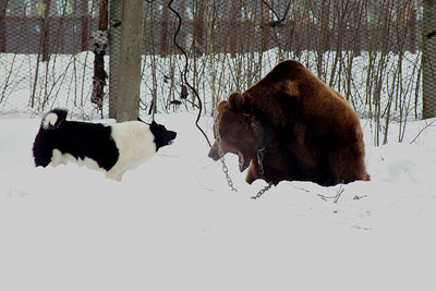 ©ШиряевКИ_00458_2013_фев 393 copy.jpg