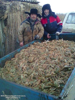 IMG-20171023-WA0006.jpg