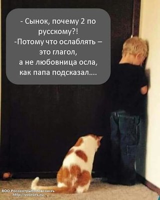 осла блять.jpg