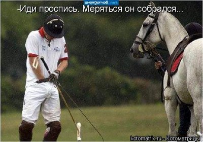 мера.jpg