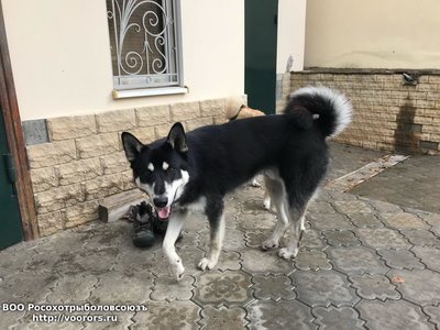 IMG-20171026-WA0018.jpg