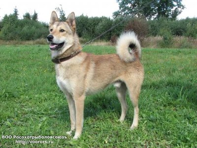 IMG-20171109-WA0000.jpg