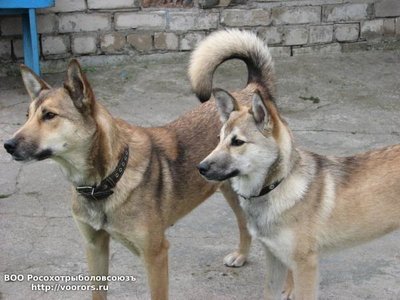 IMG-20171109-WA0004.jpg
