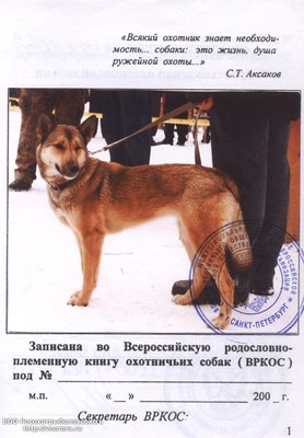 19083_1791-08 Цея-1.jpg