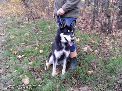20171111_141307.jpg