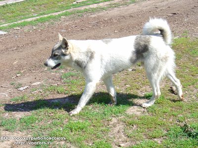 Самарга 039.jpg
