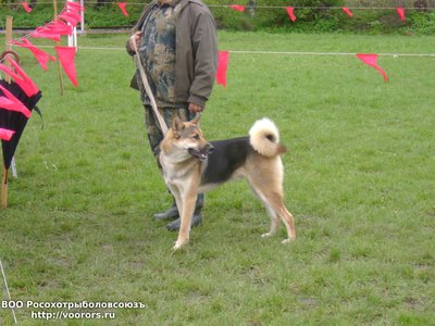 DSC03110.JPG