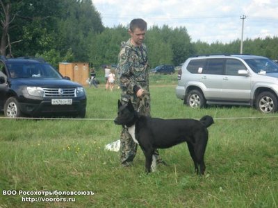 вилькария.jpg