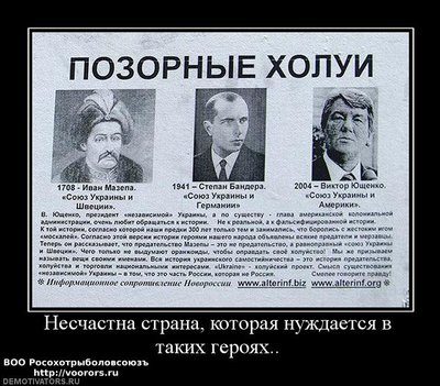 3a06f47f-f694-4d7b-9c1e-d44bcbb020d1.jpg