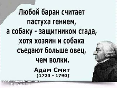 бараны и пастухи.jpg