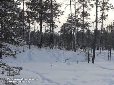 IMG-20180320-WA0016.jpg