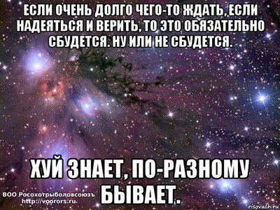 kosmos_95757304_orig_.jpg