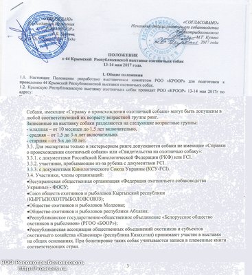 Скрин Положения.jpg
