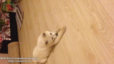 IMG_1053.JPG