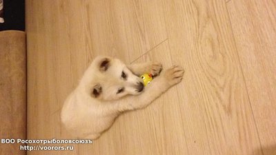 IMG_1054.JPG