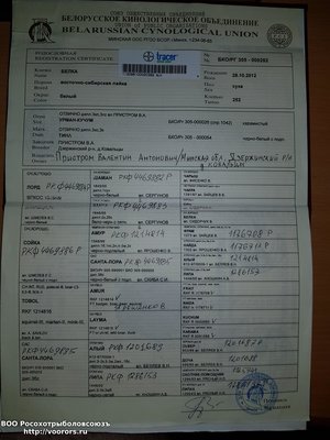 20180517_223151.jpg