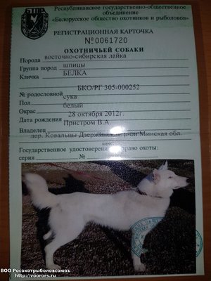 20180518_002048.jpg