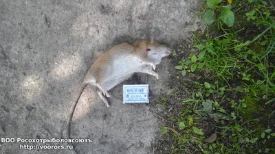20180527_140126.jpg