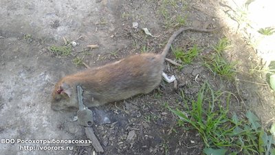 20180528_154954.jpg