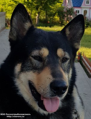 20180528_181605.jpg