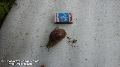 20180531_124634.jpg