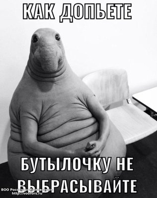 90f28ffa3fdc9ad314477392a2caa85c.jpg