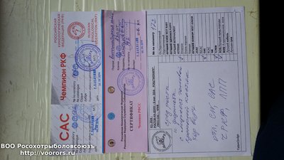 20160515_101855.jpg