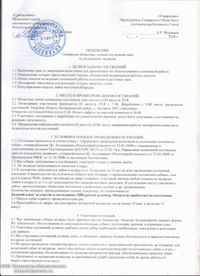 Самара лайки.jpg