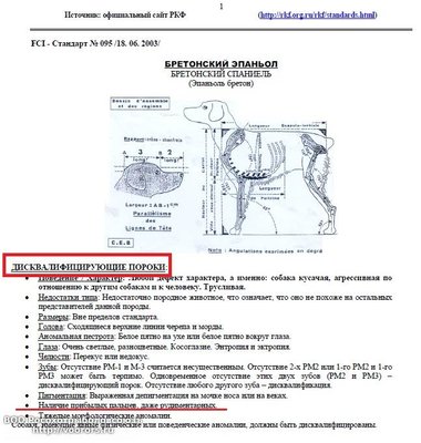 ‚лЇЁбЄ%C2%A0 Ё§ бв%C2%A0_¤%C2%A0ав%C2%A0 б%C2%A0©в ђЋђ‘.jpg