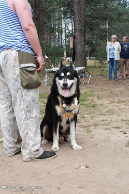 IMG-20180806-WA0019.jpg