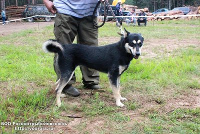 IMG-20180806-WA0043.jpg