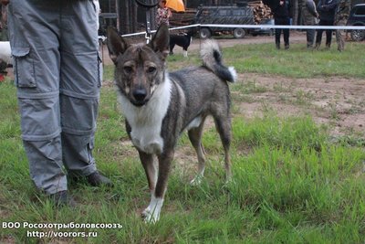 IMG-20180806-WA0005.jpg