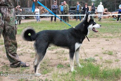 IMG-20180806-WA0013.jpg