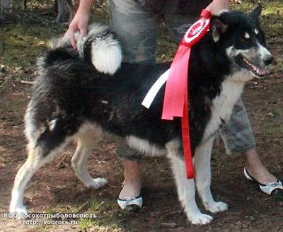 IMG-20180806-WA0009.jpg