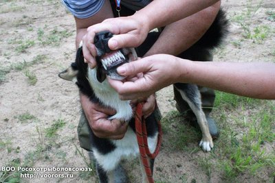 IMG-20180806-WA0000.jpg