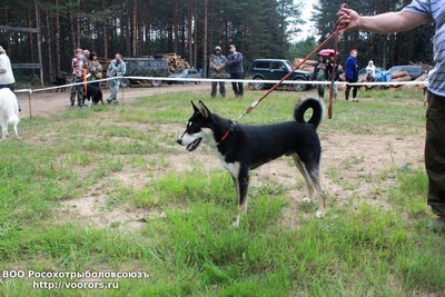 IMG-20180806-WA0006.jpg
