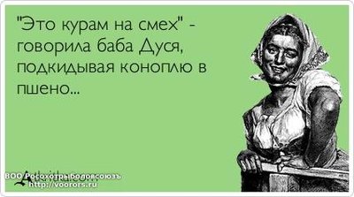 atkritka_1368744048_536.jpg