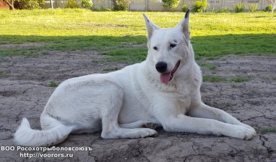 20180503_192735.jpg