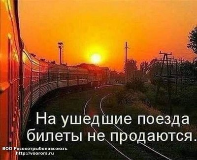 FB_IMG_1547556385366.jpg