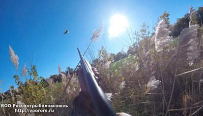 IMG_0422.jpg