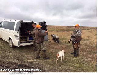 лесовик на белом автобусе.png