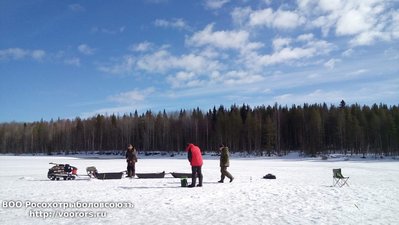 IMG_3706.JPG