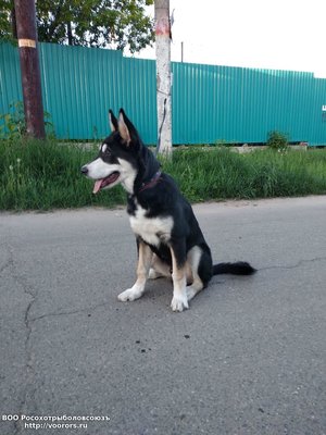 IMG-20190519-WA0207.jpg