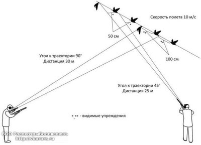 vld_strel-650x470.jpg