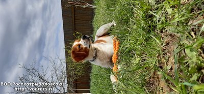 20200509_133215.jpg