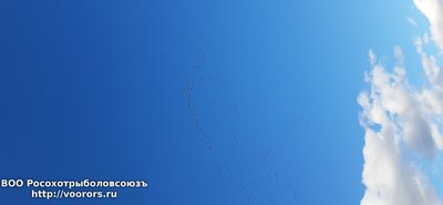 20200429_173519.jpg