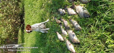 20200911_143552.jpg