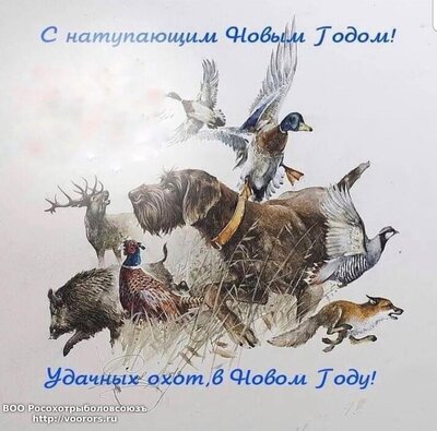 9FA58C1C-7D2A-4788-AF11-3D90C8146165.jpeg