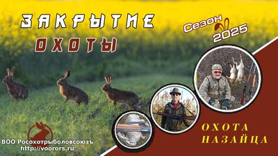 картинка закрытие.jpg