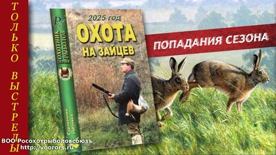 картинкаПОПАДАНИЯ.jpg